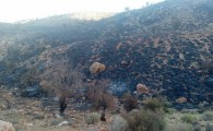 آتش سوزی در 100هکتار از اراضی تفتان/میزان خسارت مشخص نیست