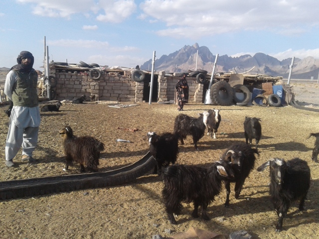روستای شوگه خاش محلی برای تولید و اشتغال؛ اما محروم از خدمات دولت