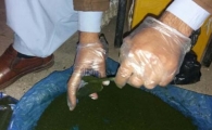 در برخی از مناطق استان سیستان و بلوچستان ماده مخدر ناس در سوپر مارکت ها و یا به صورت دست فروشی به مصرف کنندگان فروخته می شود.