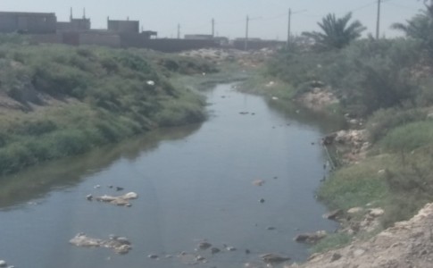 گذر نهر مملو از آلودگی از شهر زابل/ خواب خوش مسولان شهری بیداری ندارد