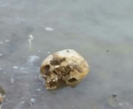 کشف جسد متلاشی شده در آب چاه نیمه!/ مدیر آبفا زهک: کشف جسد در آب، خطری برای سلامت مردم ندارد