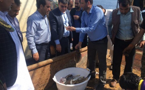 ۳۴ روز ارزیابی ذخایر و بیومس جانوران دریایی در دریای عمان