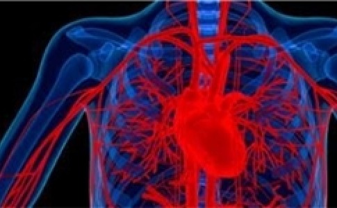 ارتباط بیماری‌های قلبی کودکان با کبودی لب‌ها/ علت تپش‌های قلبی شدید