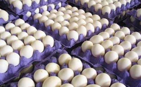 نرخ تخم مرغ بار دیگر پر کشید/ یک شانه ۱۴ هزار تومان!