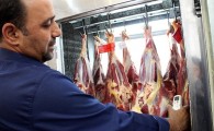 حذف 29هزار کیلو گرم لاشه دام ناسالم از چرخه مصرف/ هنگام خرید گوشت از قصابی ها به برچسب کشتارگاه دقت کنید