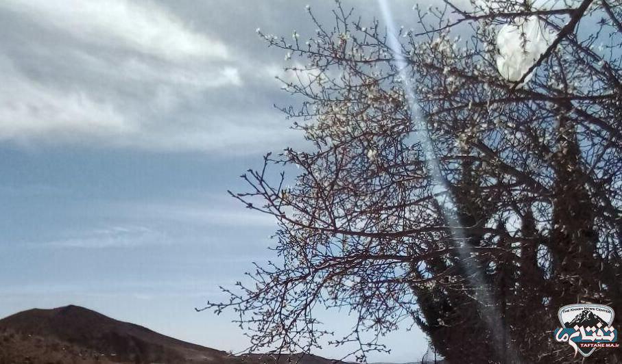 گزارش تصویری/ بوی بهار در دامنه تفتان