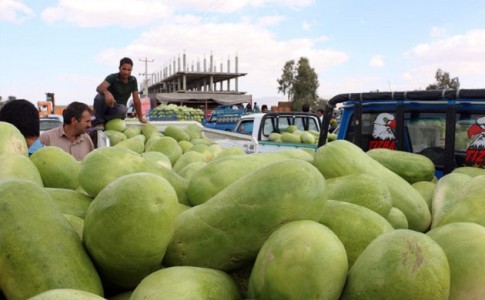 اعتراض مردم از گرانی قیمت میوه 
عکس اینترنتی