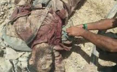 ۲۷ داعشی در «ننگرهار» کشته شدند