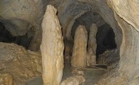 کشف یک دهنه غار درارتفاعات سراوان/ زیستگاه امنی برای خفاش دم موشی و خزندگان در استان!