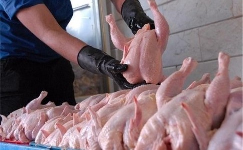 ​مرغ فروشان متخلف به پرداخت 405میلیون ریال جریمه محکوم شدند