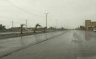 طراوت بهاری با بارش زمستانی باران در شهرستان دلگان  