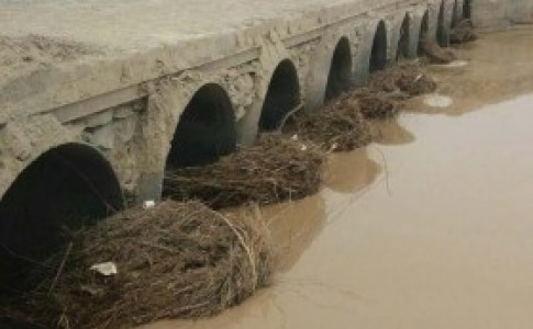 ضعف آشکار مدیریت آب در سیستان/انهار قبل از دشت مال لایروبی نشدند