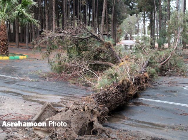 خسارات بوجود آمده پس از بارش شدید باران و جاری شدن سیلاب در زاهدان
