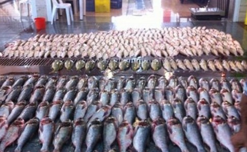 3 تن ماهی قاچاق در چابهار ضبط شد