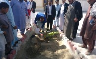 گزارش تصویری/ کاشت هزار اصله نهال در ایرانشهر همزمان با روز درختکاری  