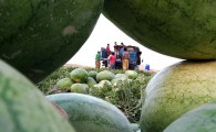صادرات آب با طعم هندوانه!/ بی آبی همچنان گریبانگیر شهرهای ایران