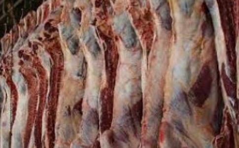 توزیع گوشت قرمز با هدف تنظیم بازار در زابل