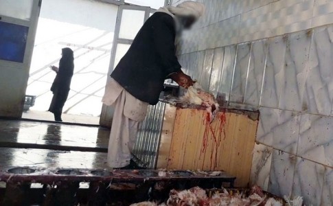 ذبح بهداشت در بازارچه های کشتار مرغ زنده در زاهدان/ دامپزشکی: این واحدها غیرمجاز و غیربهداشتی است