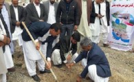 1500 اصله درخت در روستاهای شهرستان مهرستان کاشته شد