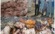 معدوم کردن 600 کیلوگرم گوشت فاسد در ایرانشهر