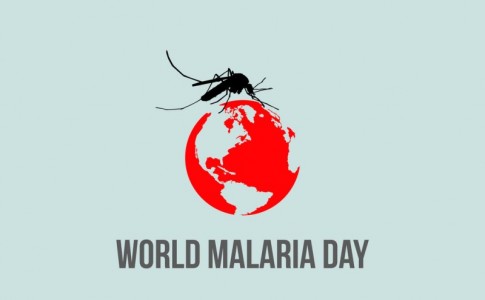برگزاری اولين همایش کشوری برنامه حذف مالاریا در چابهار/ بازدید مدير مالاريا مديترانه شرقي از مراكز خدمات جامع سلامت چابهار