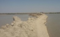 سنگ تمام محیط زیست برای افغان ها!