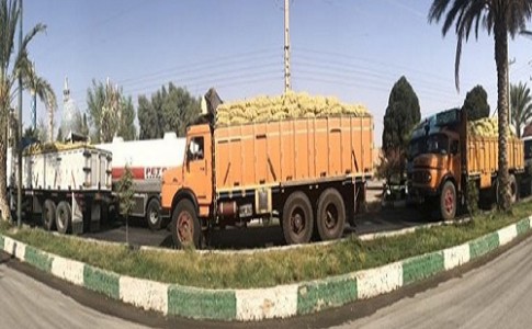سارقان مسلح از عوامل سلب آسایش مردم بودند/ خسارت سنگین راهزنی از کامیون ها به کشاورزان شهرستان دلگان