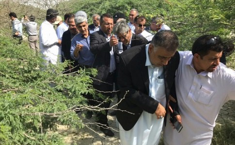 بازدید رئیس کمیسیون آب وکشاورزی مجلس از مناطق آلوده در کنارک/ 10شهر سیستان وبلوچستان درگیر حمله ملخ های صحرایی هستند