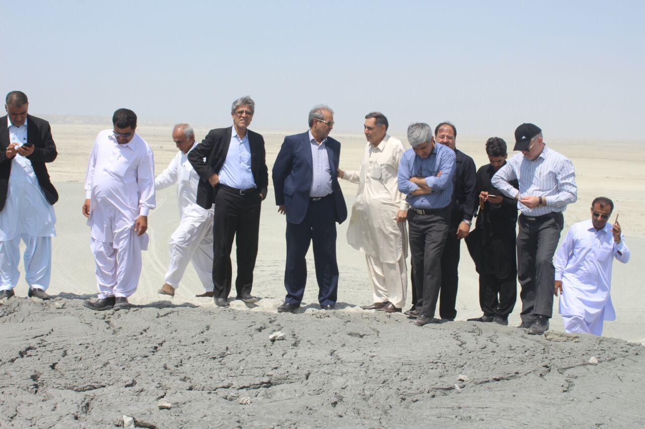بازدید رئیس سازمان حفظ نباتات کشور از مناطق آلوده ملخ صحرایی شهرستان‌کنارک