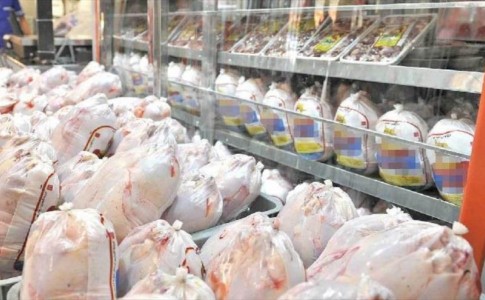 توزیع 157 تن گوشت مرغ در سیستان و بلوچستان