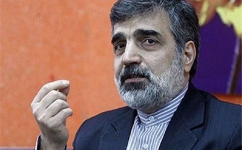 کمالوندی: مهلت دو ماهه ایران در برجام قابل تمدید نیست