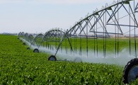اجرای سیستم آبیاری نوین برای 358 هکتار از اراضی کشاورزی در سراوان/ افتتاح اولین سیستم آبیاری کم فشار شهرستان در هفته دولت