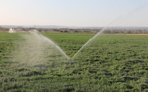 1500 هکتار از اراضی کشاورزی مجهز به سیستم نوین آبیاری می شوند