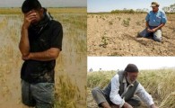 روزهای سخت کشاورزان سیستان وبلوچستان؛ خسارت سنگین غرامت ناچیز