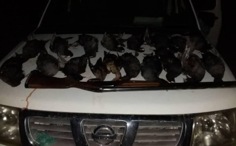 شکارچی غیرمجاز در ایرانشهر دستگیر شد/ کشف لاشه 20چنگر و ضبط اسلحه