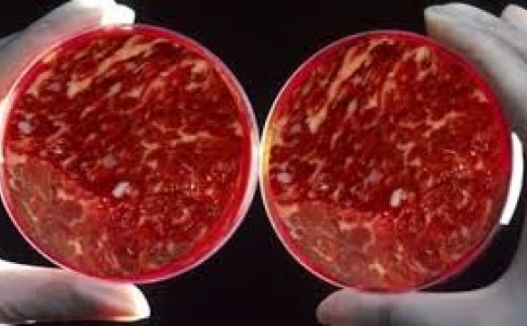 اولین گوشت مصنوعی دنیا با قابلیت خودترمیمی ساخته شد!