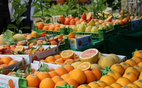 برنامه ریزی برای جذب و توزیع 770 تن میوه تنظیم بازار در نوروز 99