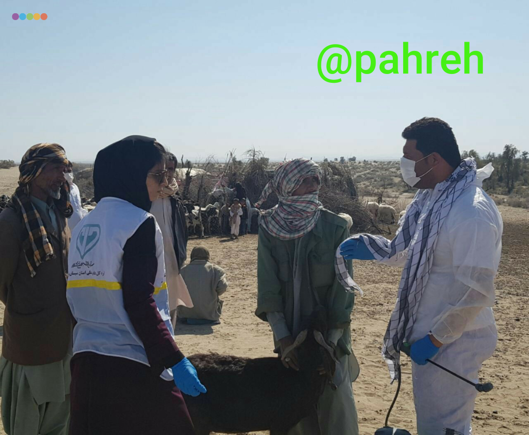 گزارش تصویری/اعزام اکیپ های واکنش سریع دامپزشکی ایرانشهر به مناطق سیل زده