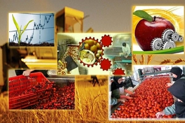 241 واحد صنایع تبدیلی و غذایی در سیستان و بلوچستان فعالیت می‌کنند/اشتغال بیش از 8هزار نفر
