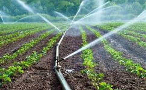 تجهیز ۵۰ درصد از اراضی کشاورزی دلگان به سیستم آبیاری نوین