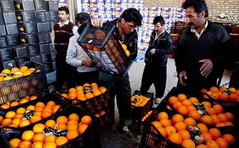 آغاز توزیع میوه شب عید در سیستان و بلوچستان