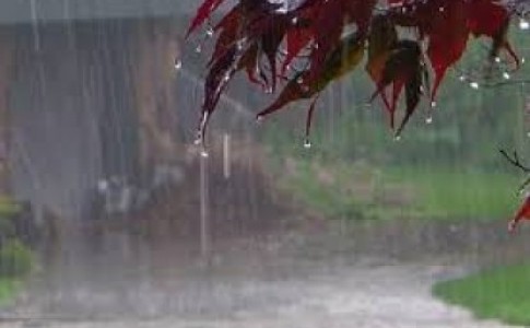 میزان بارش باران در بزمان و دلگان ۲۰میلی متر/مردم از اتراق در حاشیه رودخانه پرهیز کنند