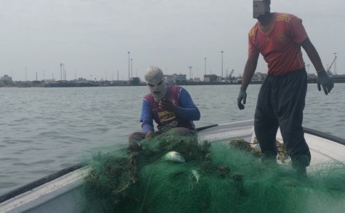 تورریزی صیادان بلای جان مرجانهای خلیج چابهار/متخلفان دستگیر شدند