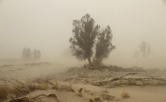 بادهای 120 روزه در سیستان و بلوچستان شدت می گیرد