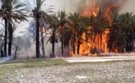 7هکتار از باغات و مزارع در "راسک" طعمه حریق شد/مهار آتش پس از 6 ساعت تلاش بی وقفه