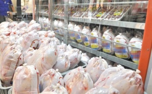 فروش مرغ زنده در سطح شهر ممنوع است