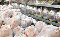 قیمت مرغ در جنوب شرق کشور از قفس پرید/ بازهم کنترل نرخ گوشت سفید از دست دولت خارج شد