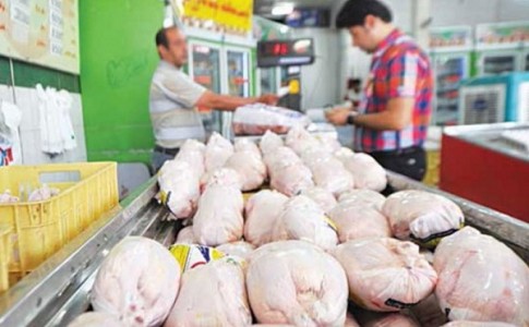 توزیع 200 تن مرغ منجمد در سیستان و بلوچستان/ بازار گوشت سفید همچنان آشفته است