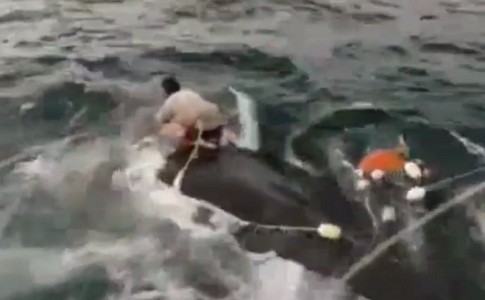 صیادان باوجدان بلوچ، بزرگترین حامیان محیط زیست دریایی/دریادلان چابهاری ناجی نهنگ گرفتار شدند