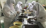 تسهیلات ارزان قیمت در اختیار کشاورزان سیستان وبلوچستان قرار می‌گیرد